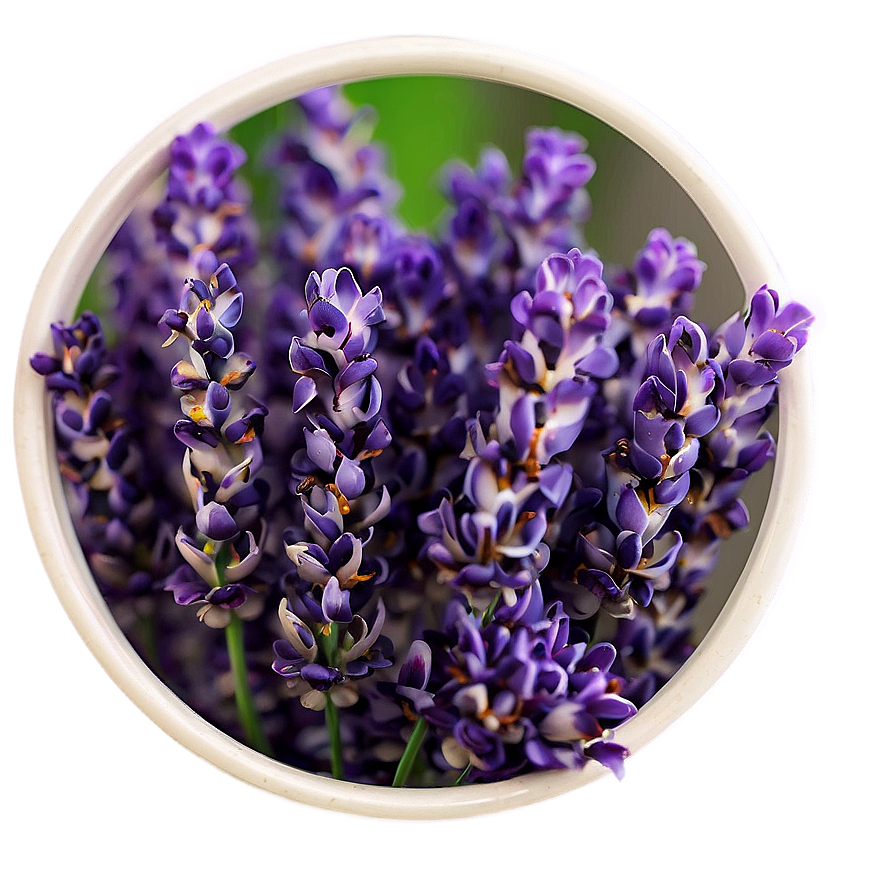 Delicate Lavender Petals Png 40 PNG Image