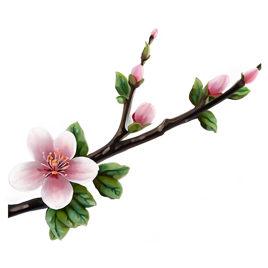 Delicate Pink Blossom Png Cgh PNG Image