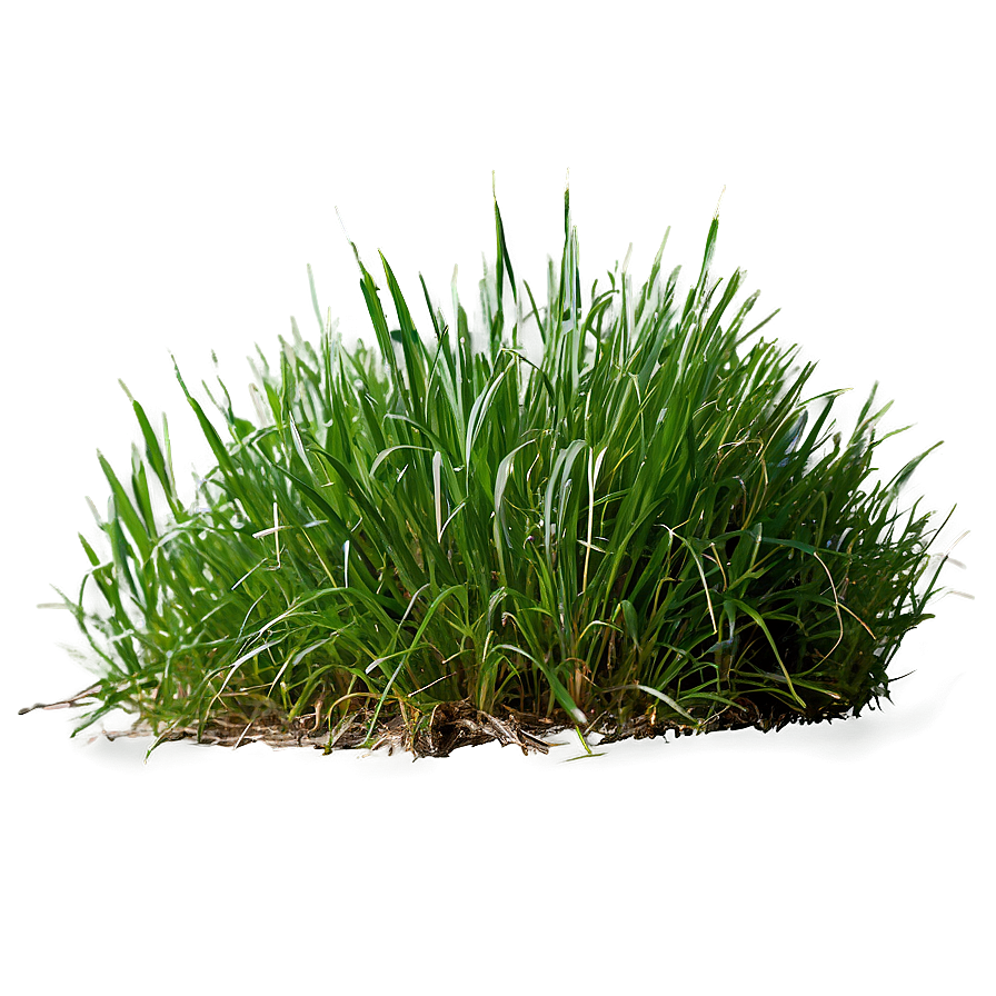 Dense Green Grass Png 73 PNG Image