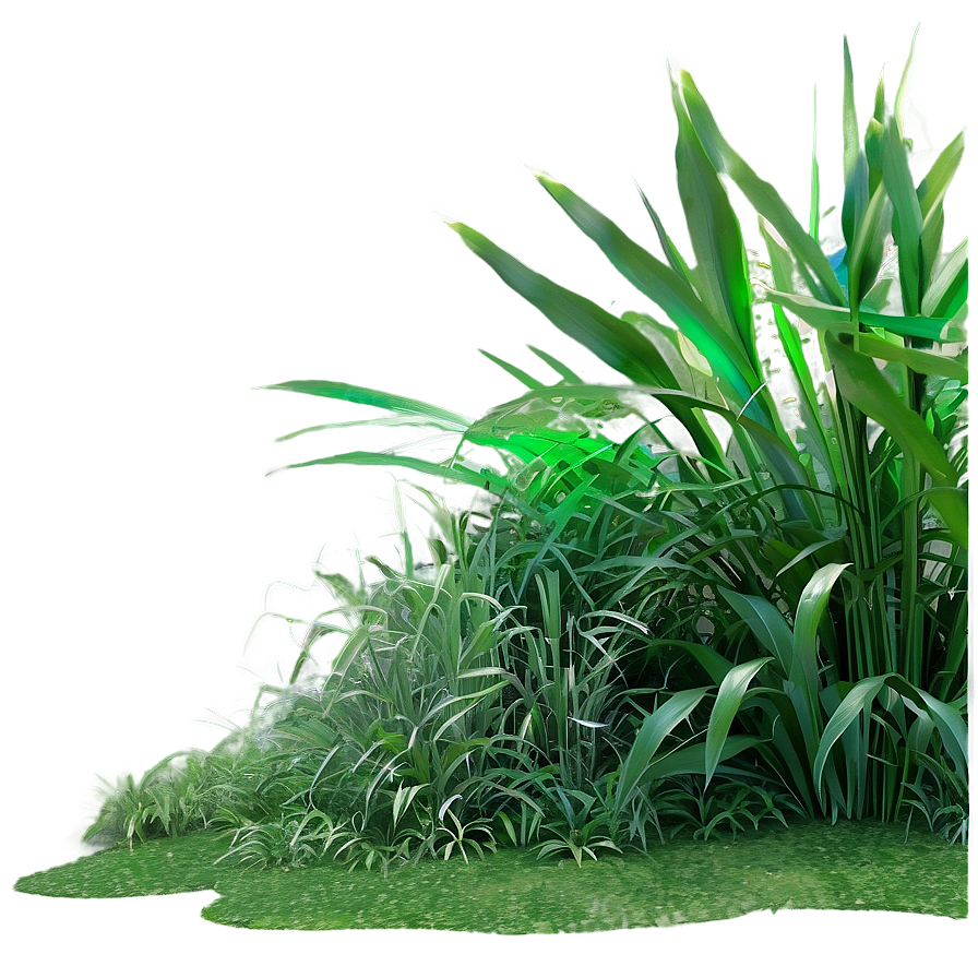 Dense Jungle Grass Png Pct PNG Image