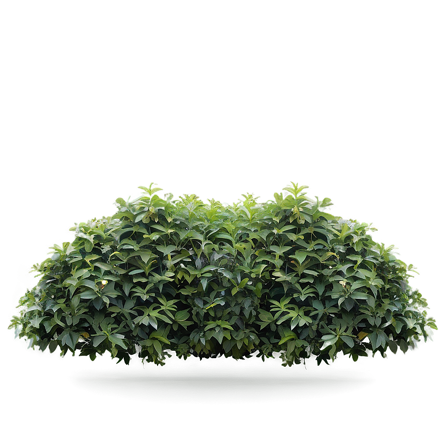 Dense Shrub Png Fvi PNG Image