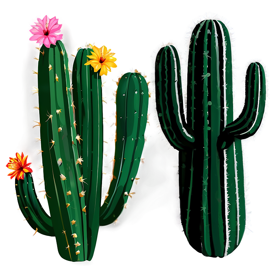 Desert Cactus Png Kls91 PNG Image