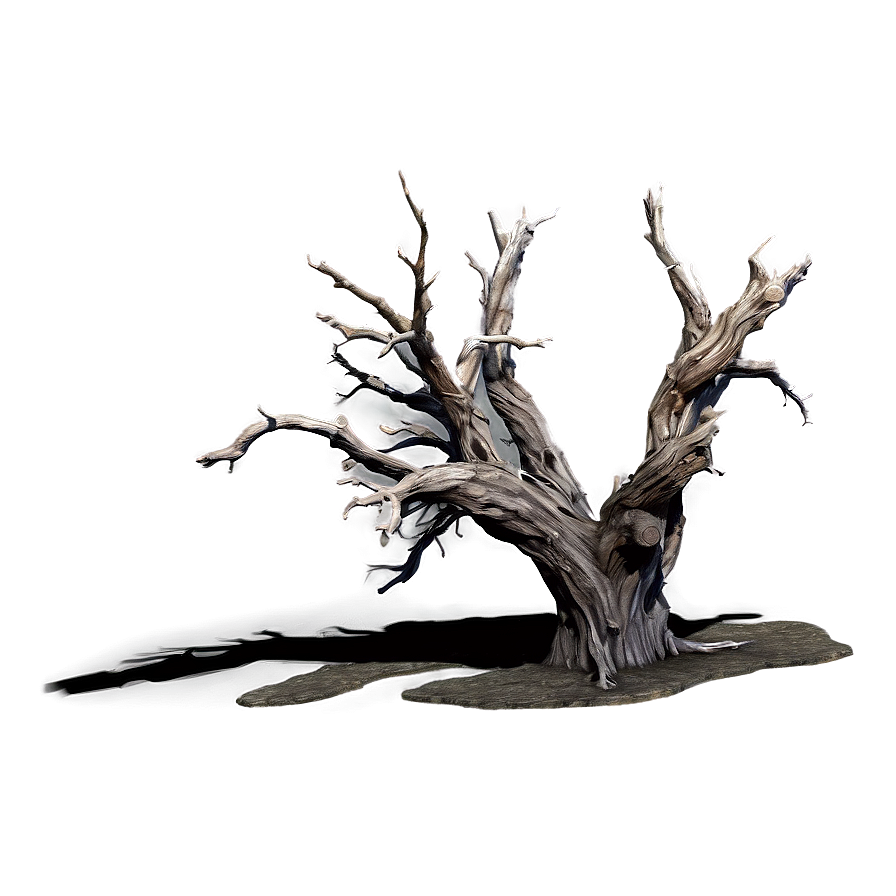 Desert Dead Tree Png Pod25 PNG Image