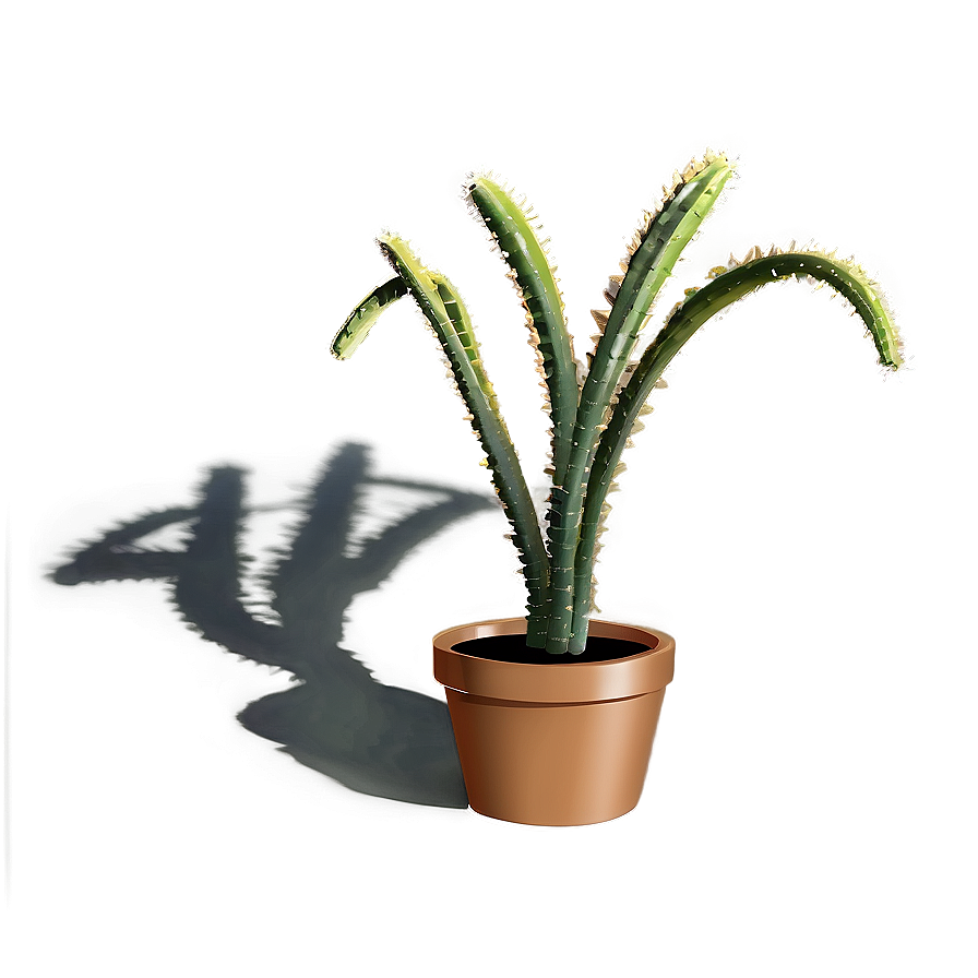 Desert Plant Shadow Png Rpf30 PNG Image