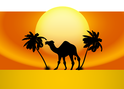 Desert Sunset Camel Silhouette PNG Image