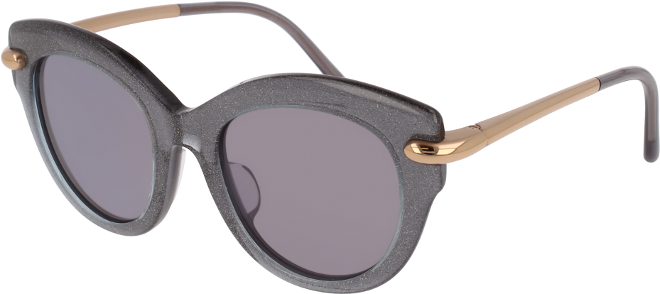 Designer Black Round Sunglasses PNG Image