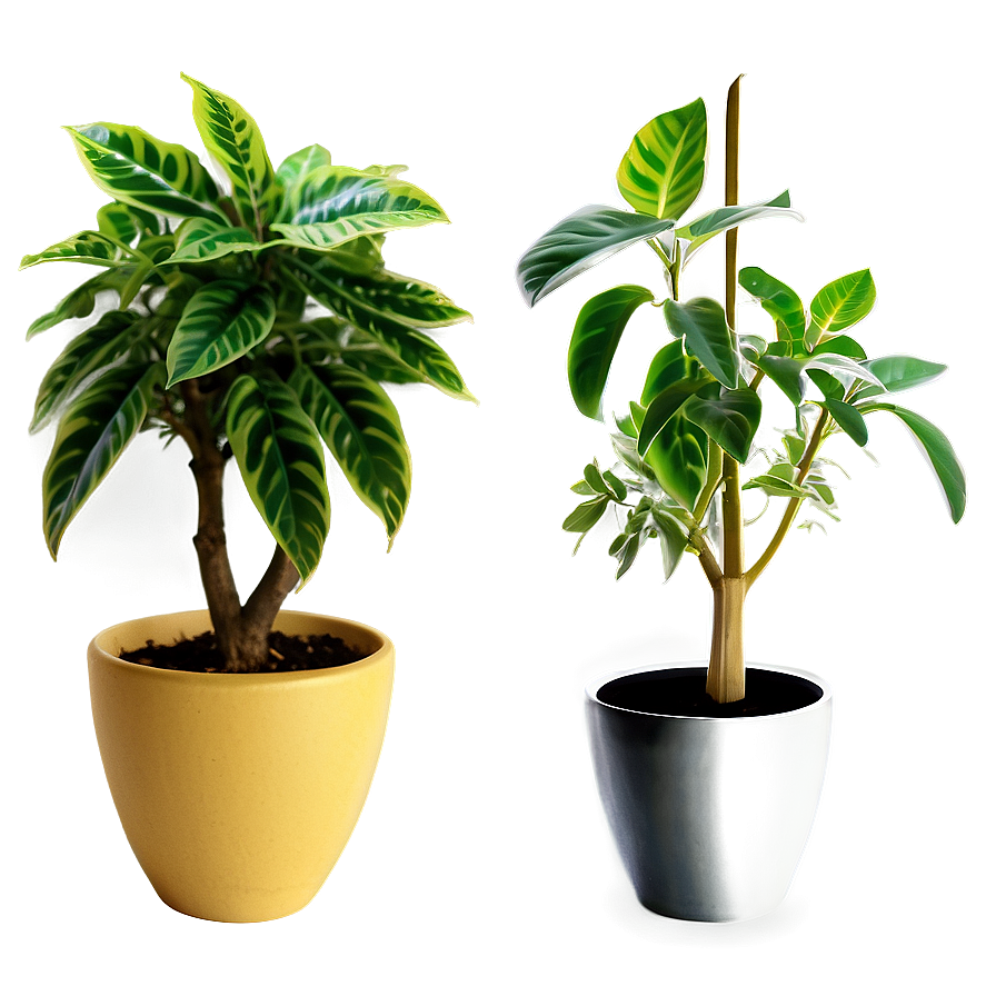 Desk Plant Png Jli PNG Image