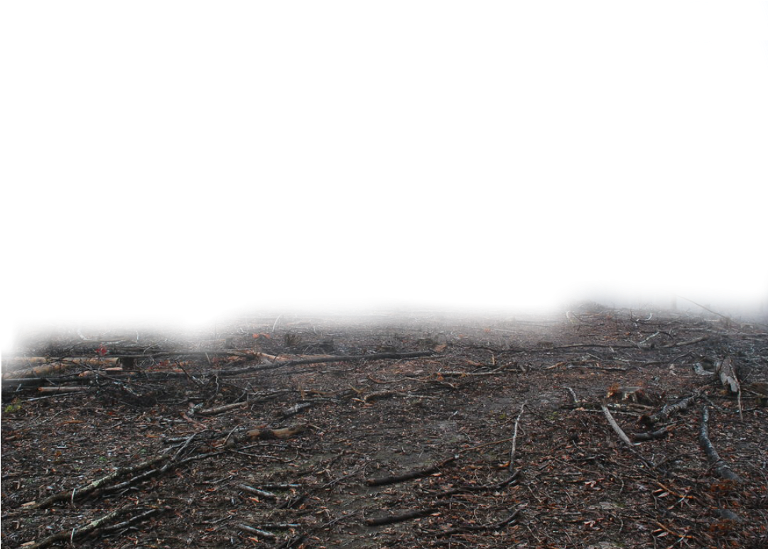 Desolate_ Wasteland_ Background PNG Image