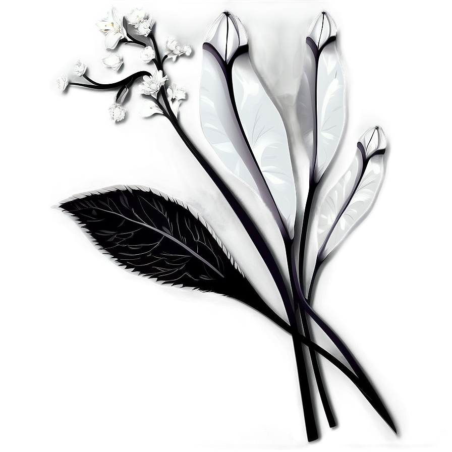 Detailed Black White Flowers Png Glu PNG Image