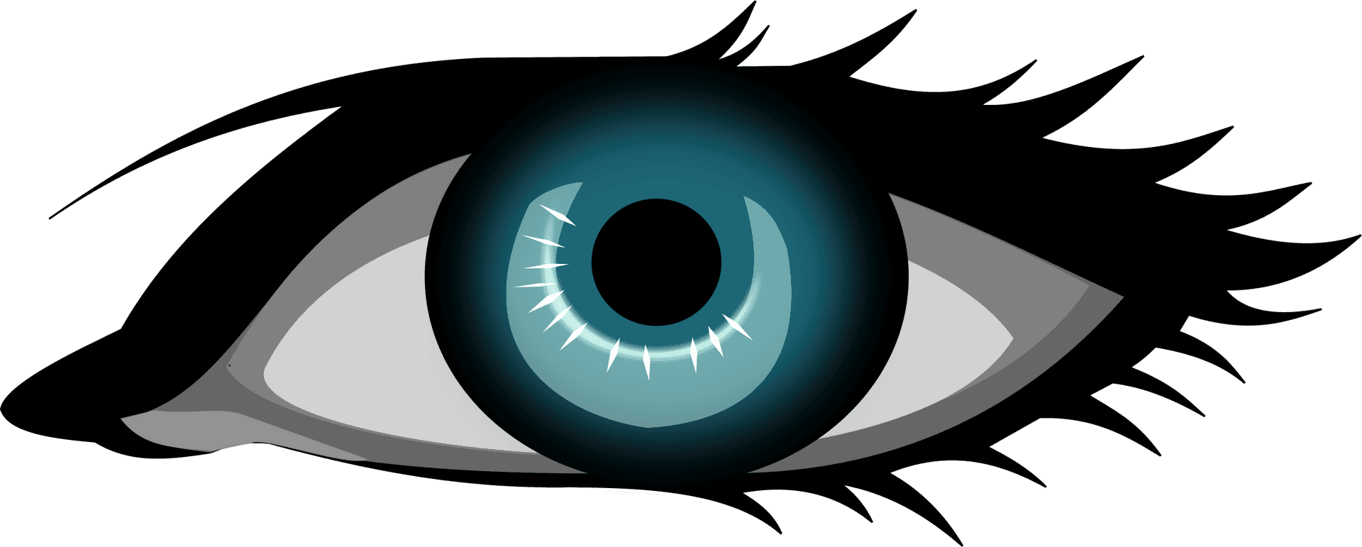 Detailed Cartoon Eye Illustration PNG Image