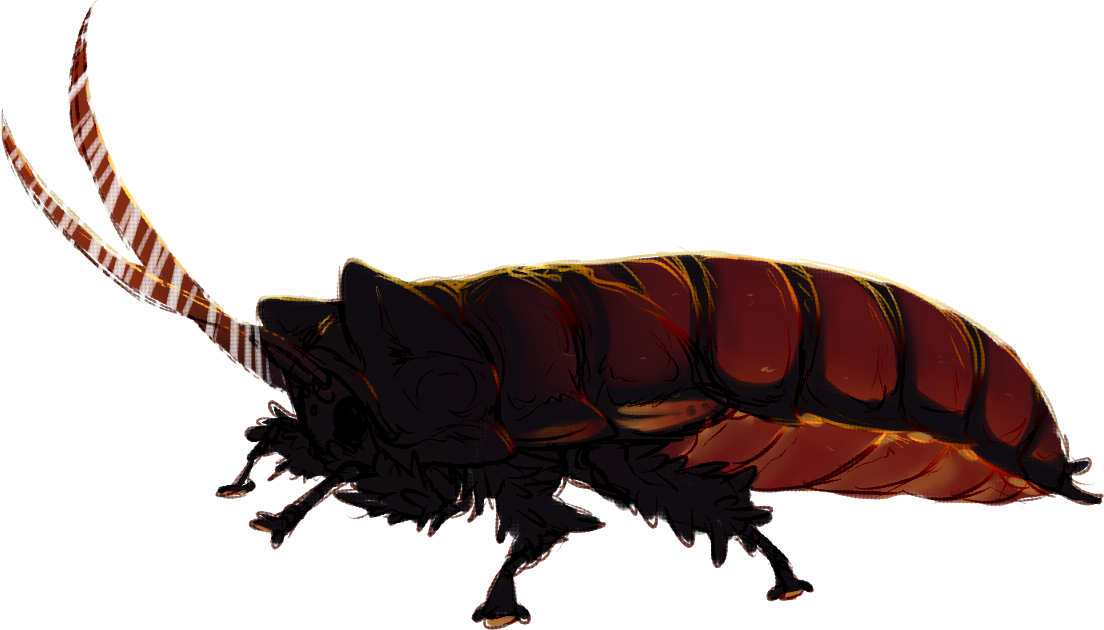 Detailed Cockroach Illustration PNG Image