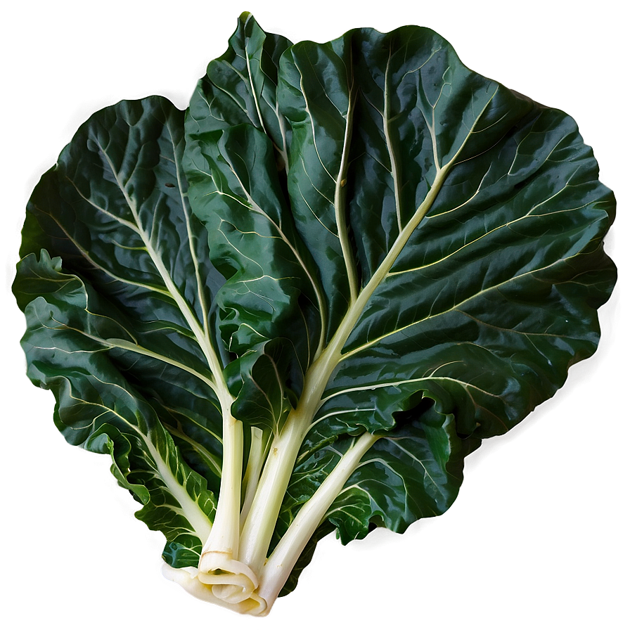 Detailed Collard Greens Png 44 PNG Image