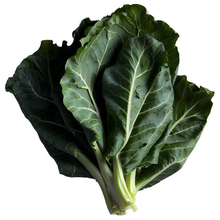 Detailed Collard Greens Png Hhd PNG Image