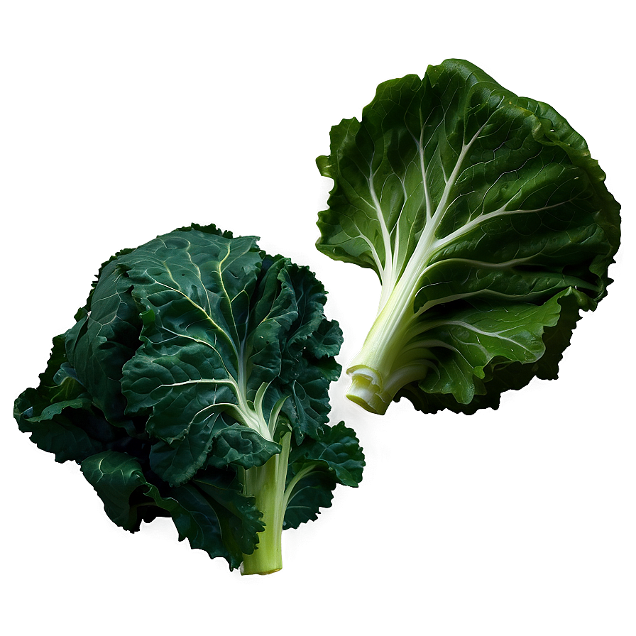 Detailed Collard Greens Png Skb PNG Image