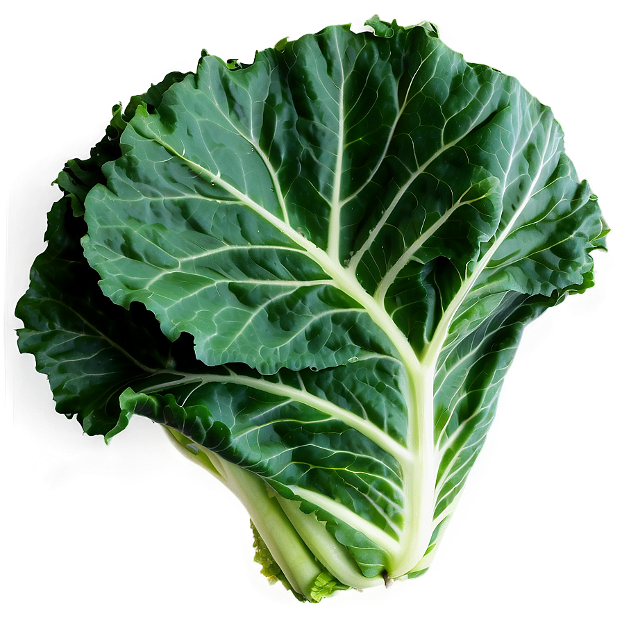 Detailed Collard Greens Png Vis23 PNG Image