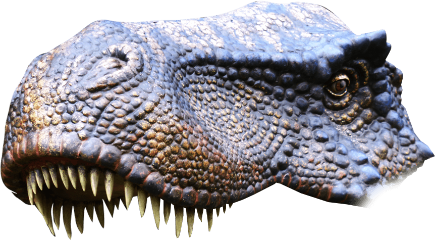 Detailed Crocodile Head Profile PNG Image