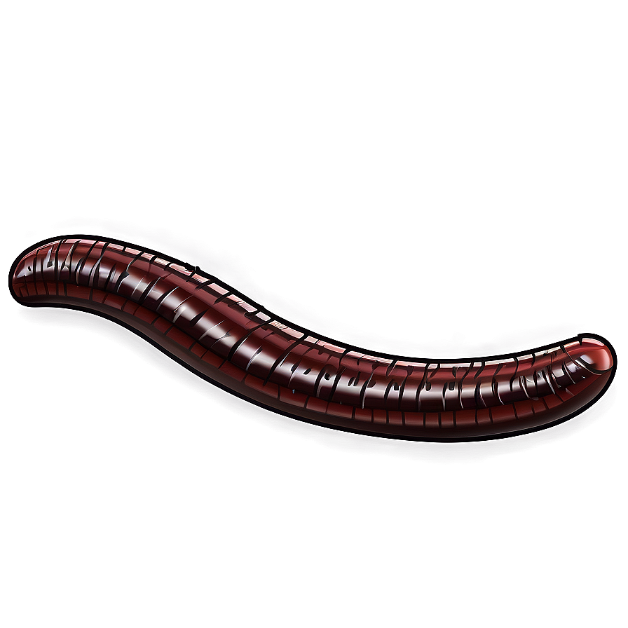 Detailed Earthworm Drawing Png Qoe PNG Image