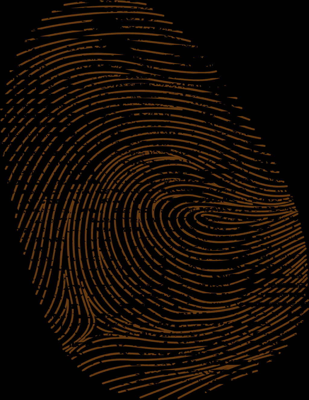 Detailed Fingerprint Pattern PNG Image