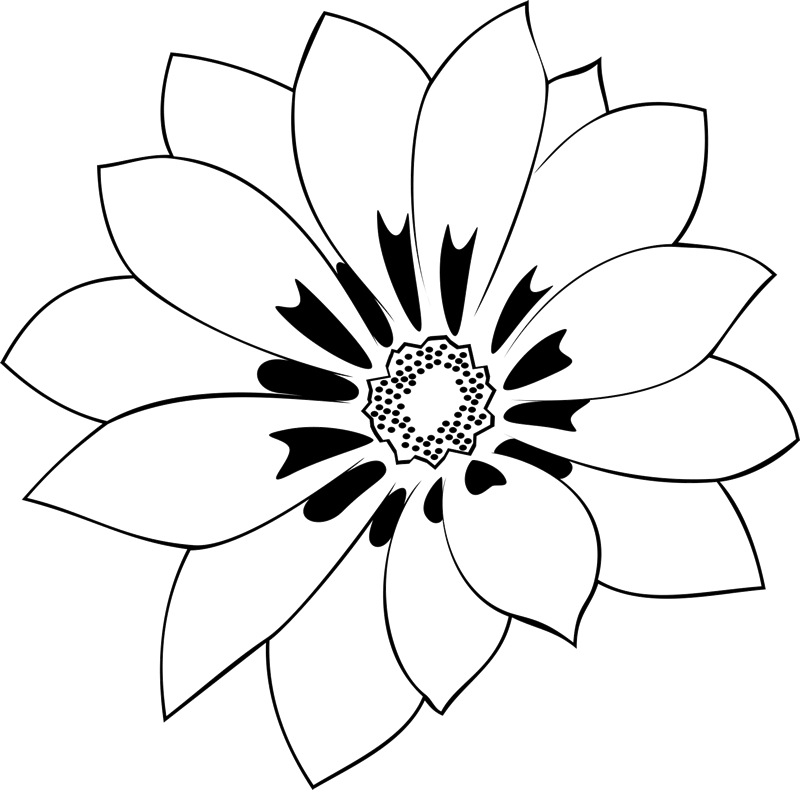 Detailed Flower Outline Graphic PNG Image