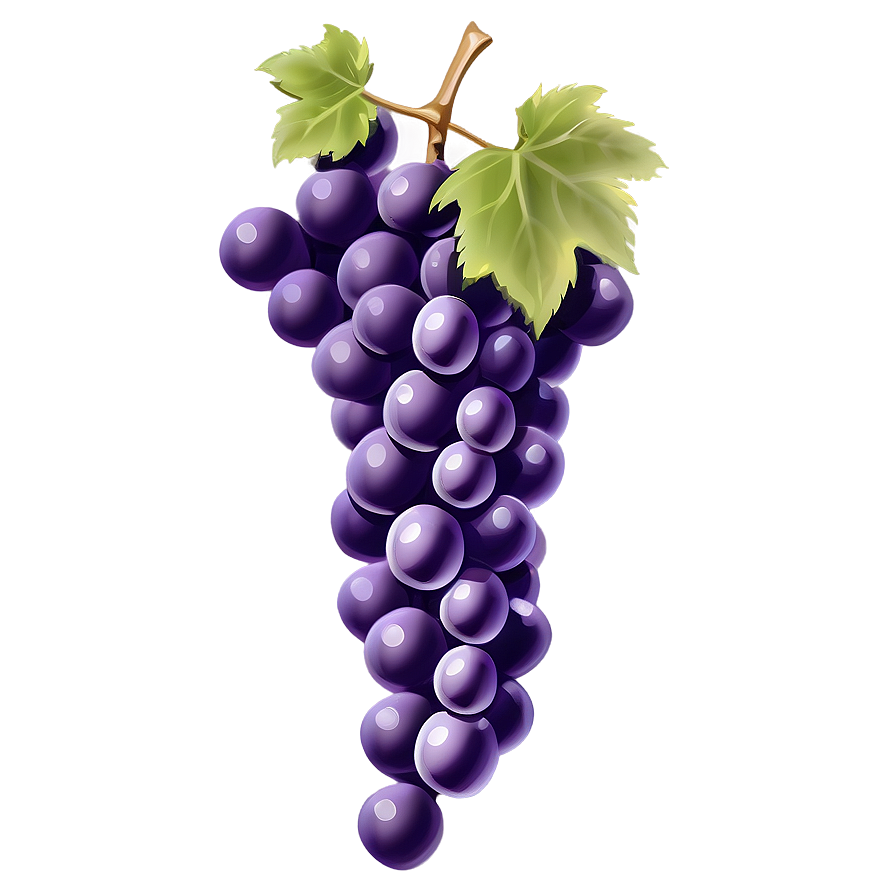 Detailed Grape Drawing Png 30 PNG Image