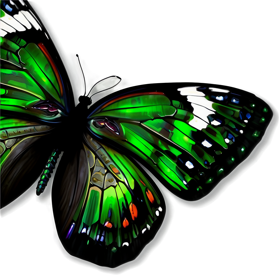 Detailed Green Butterfly Png Thc77 PNG Image