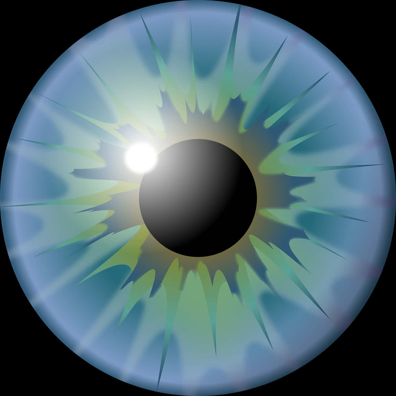 Detailed Iris Eye Lens Graphic PNG Image