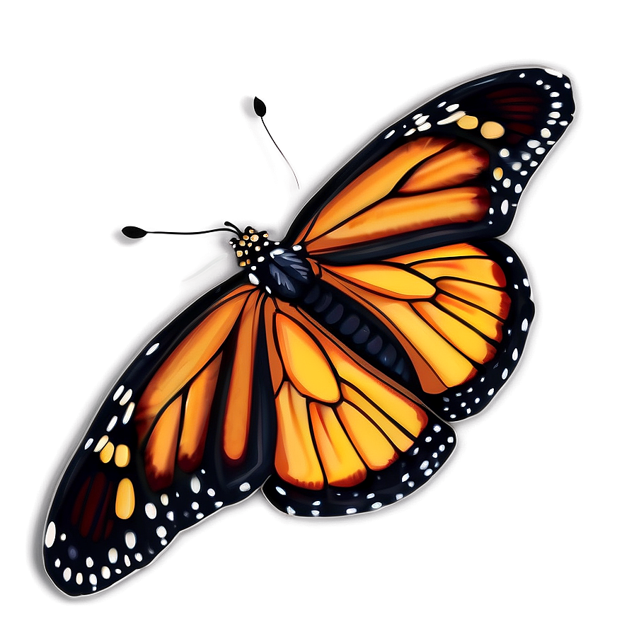 Detailed Monarch Butterfly Drawing Png 05252024 PNG Image