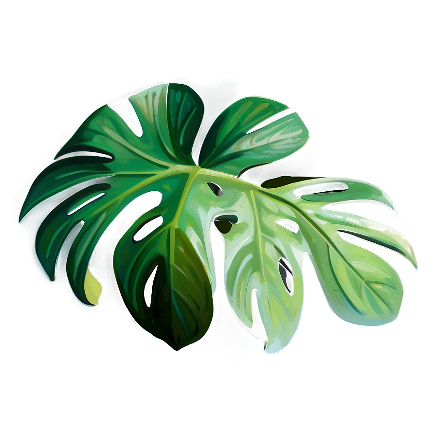 Detailed Monstera Leaf Png Miy37 PNG Image