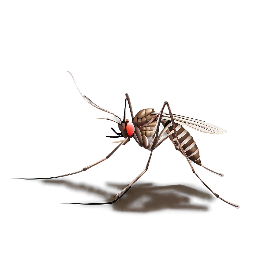 Detailed Mosquito Png 92 PNG Image