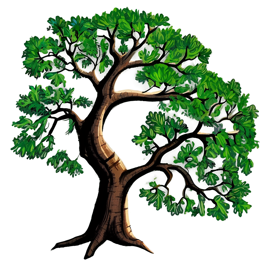 Detailed Oak Tree Drawing Png Srr PNG Image