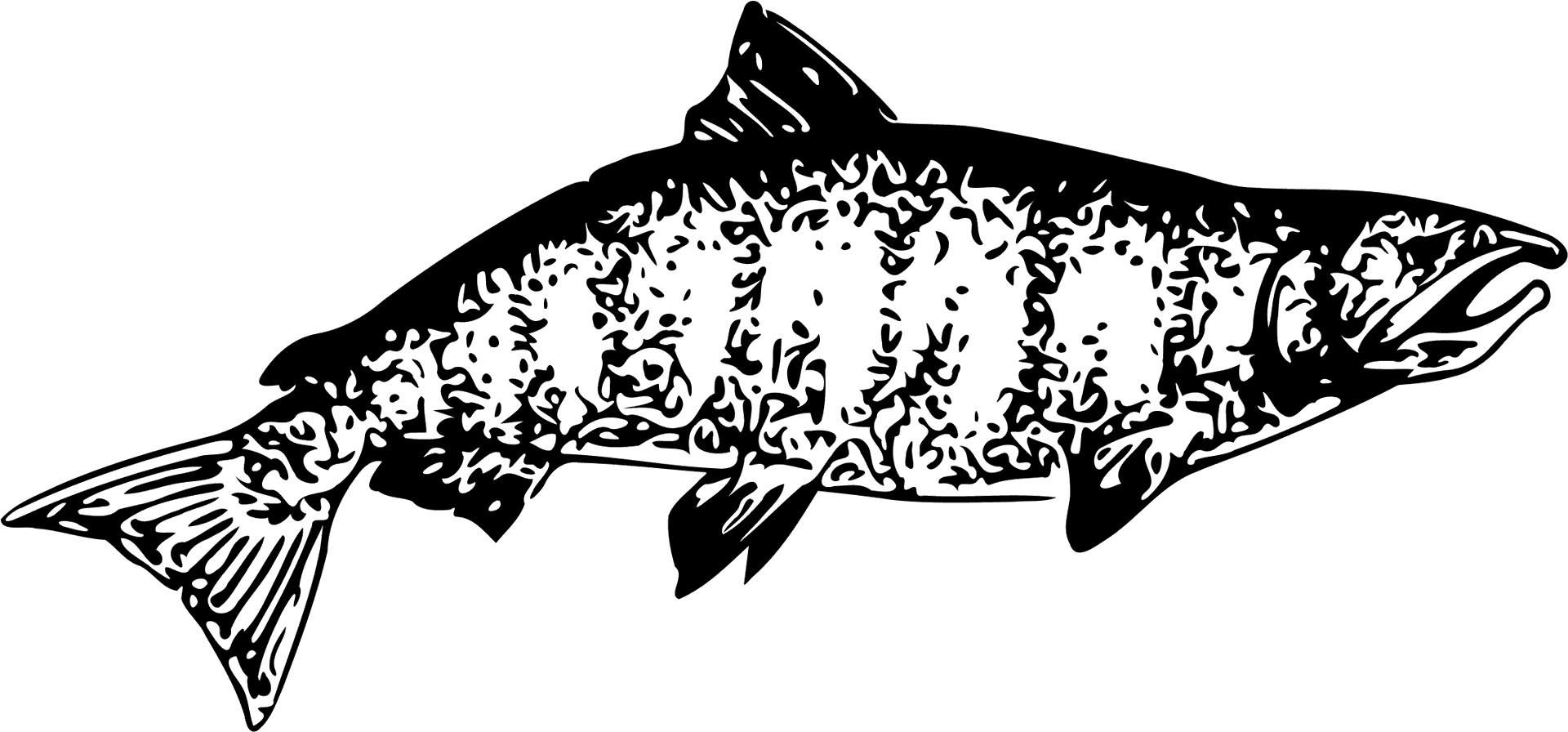 Detailed Salmon Silhouette PNG Image