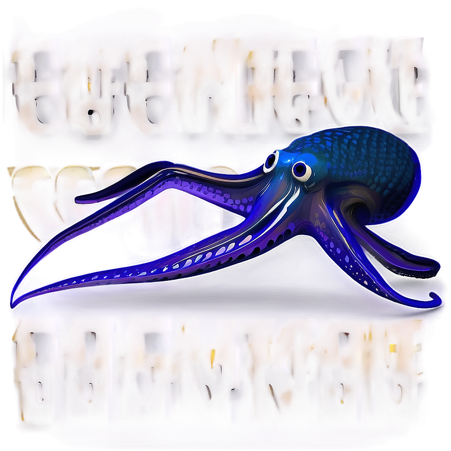 Detailed Squid Anatomy Png Yup PNG Image