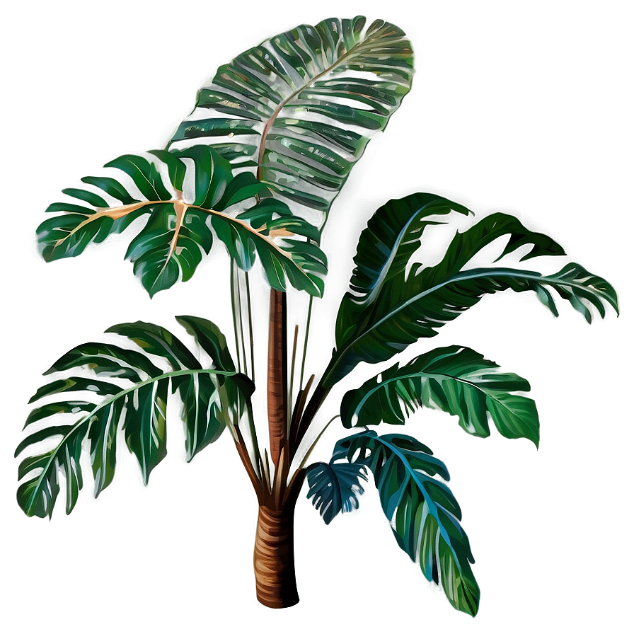 Detailed Tropical Plants Png Kyk PNG Image