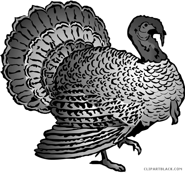 Detailed Turkey Clipart Illustration PNG Image