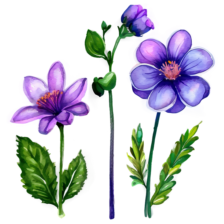 Detailed Watercolor Flowers Png Kem16 PNG Image