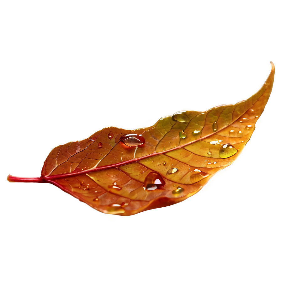 Dewy Autumn Leaf Morning Png 06202024 PNG Image