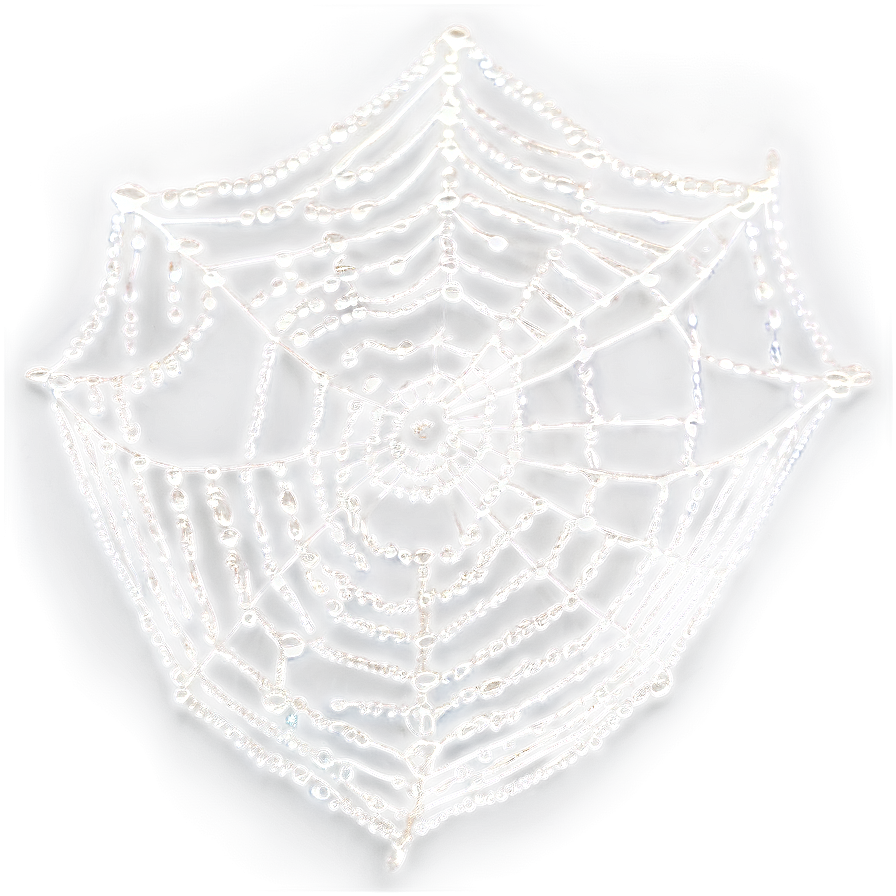 Dewy Cobweb Morning Png 59 PNG Image