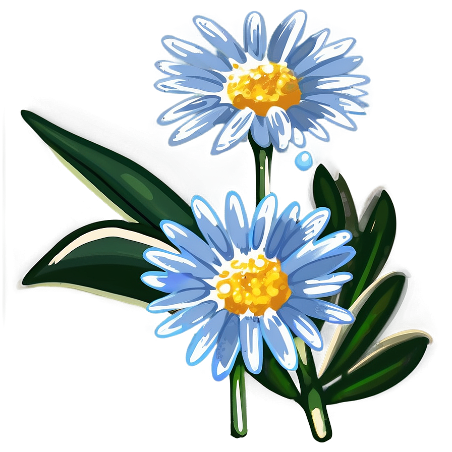 Dewy Morning Daisies Png 77 PNG Image