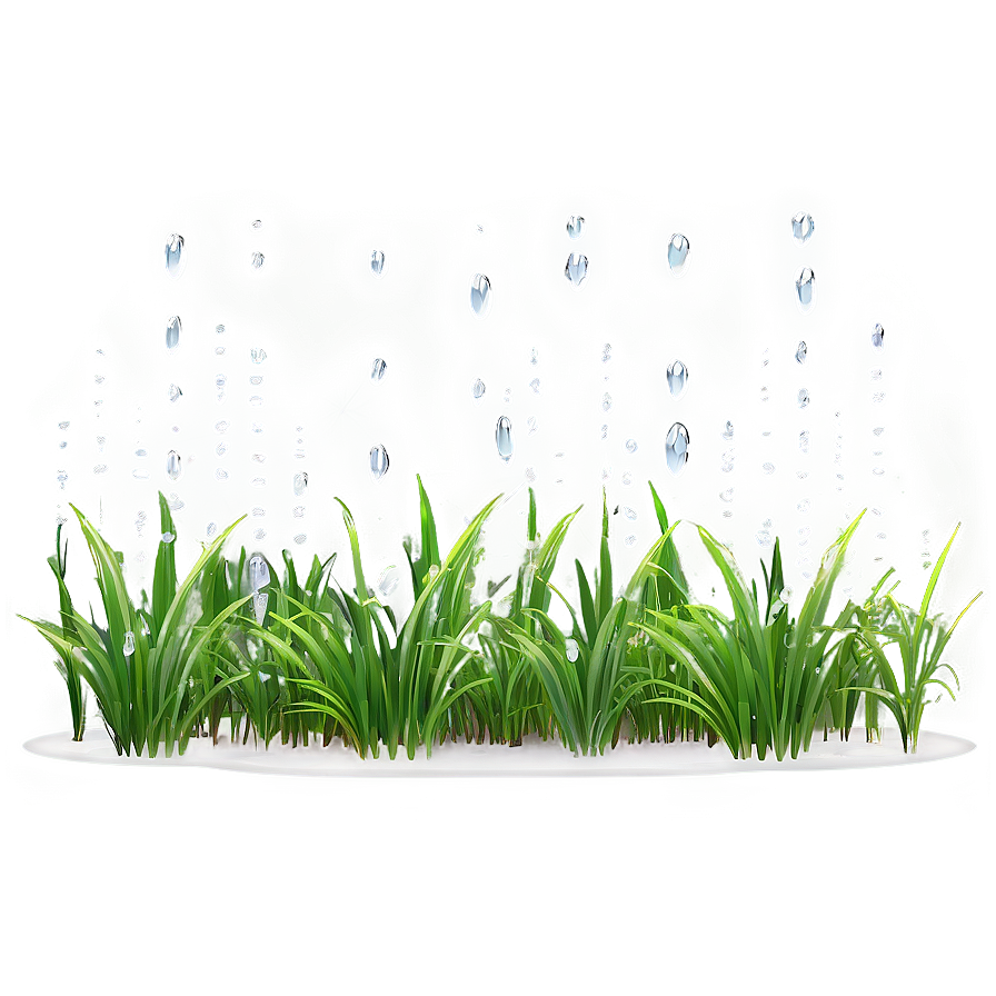 Dewy Morning Grass Png Wnc PNG Image