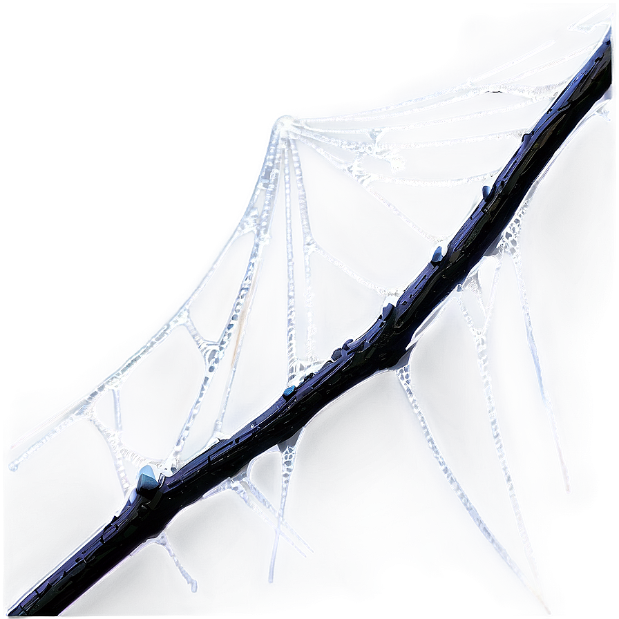 Dewy Spider Web Artistic Render PNG Image