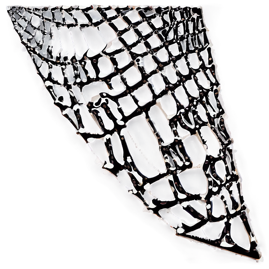 Dewy Spider Web Corner PNG Image