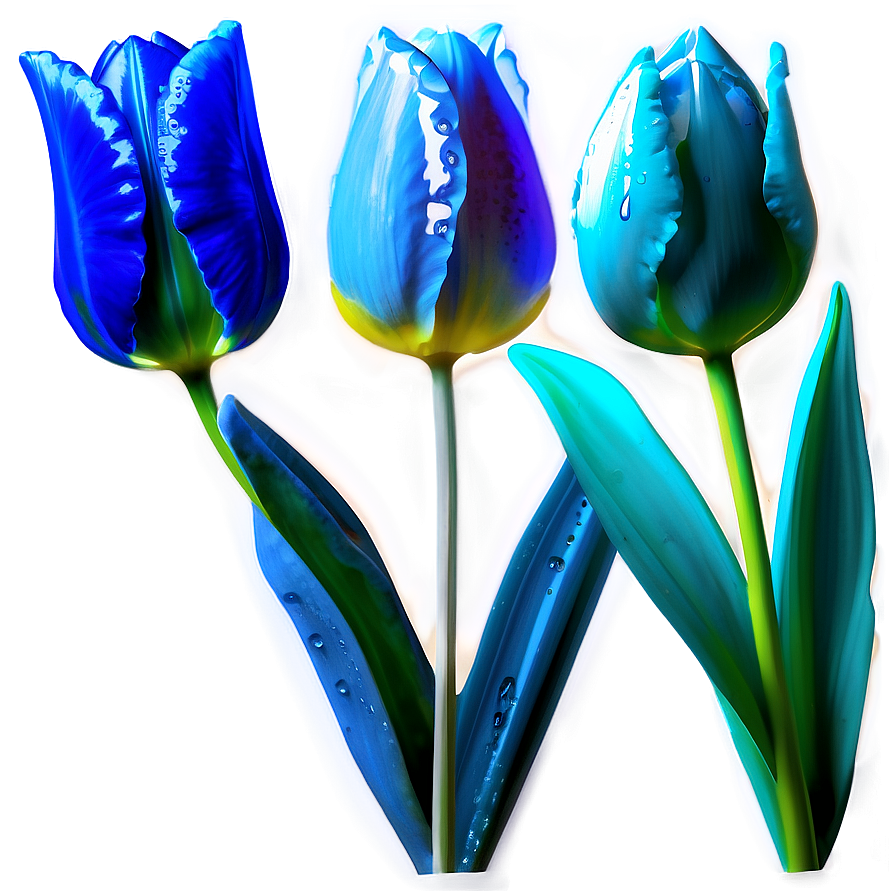 Dewy Tulip Png 76 PNG Image