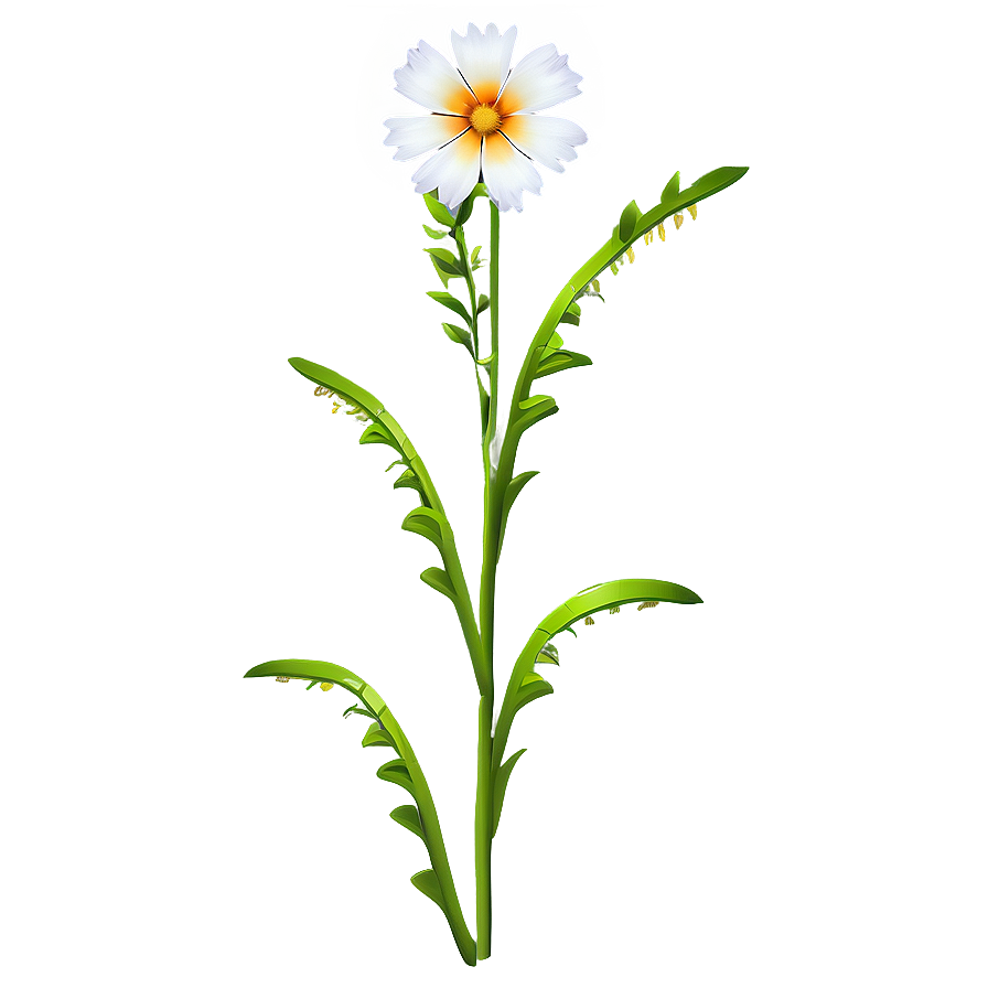 Digital Art Flower Stem Png 78 PNG Image