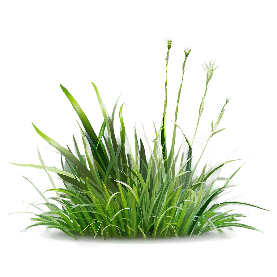 Digital Grass Clipart Png 6 PNG Image