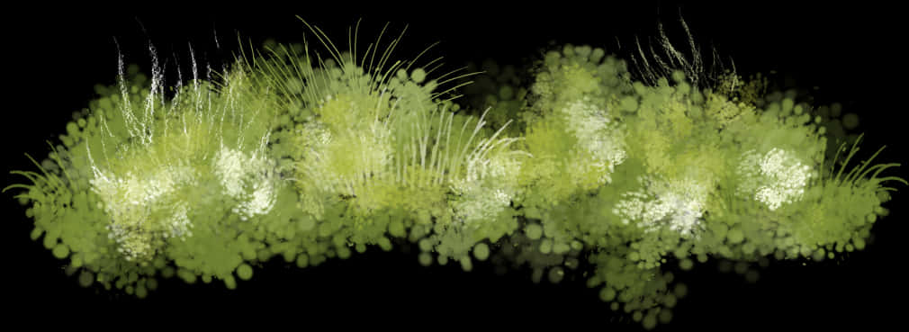 Digital Grass Texture Isolatedon Black PNG Image