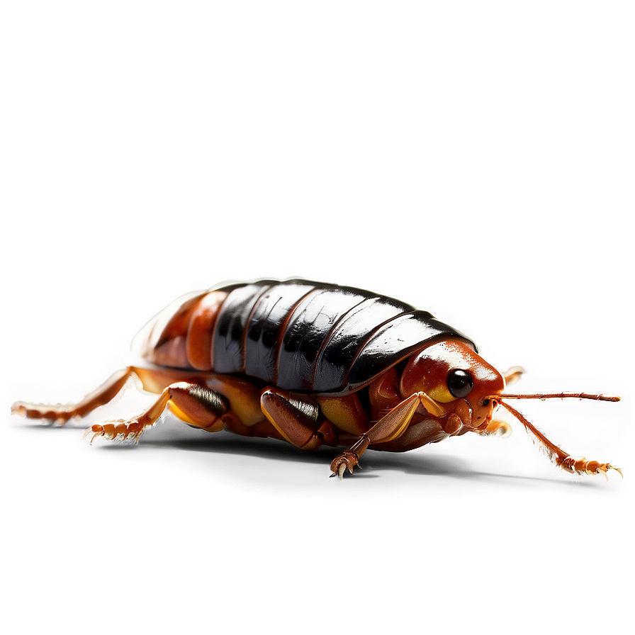 Digital Roach Png 19 PNG Image