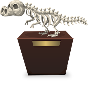 Dinosaur Skeleton Exhibit PNG Image