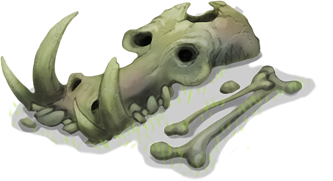 Dinosaur Skull Fossil Illustration PNG Image