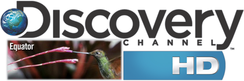 Discovery Channel H D Logowith Hummingbird PNG Image