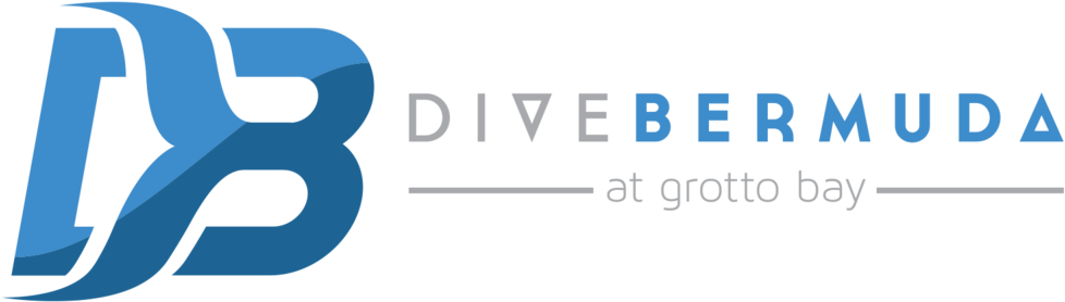 Dive Bermuda Logo PNG Image